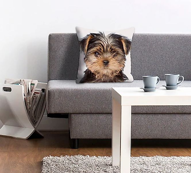 queence Dekokissen »Ines«, Kissenhülle,Hund,Süß,Tiermotiv,Niedlich,Verspiel günstig online kaufen