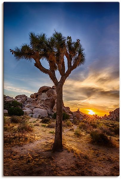 Artland Wandbild "Sonnenuntergang Joshua Tree NationalPark" (1 Stück), in v günstig online kaufen