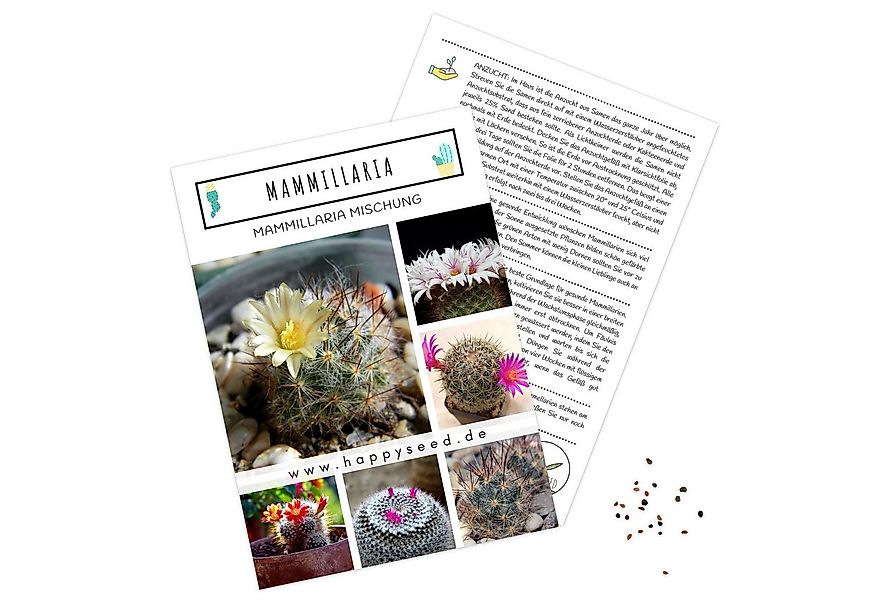 HappySeed Blumensamen Mammillaria Mix Samen - Cactaceae (Kakteen), Kakteen günstig online kaufen