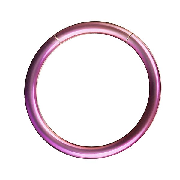 Taffstyle Nasenpiercing Segment Septum Universal Piercing günstig online kaufen