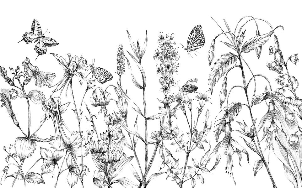 Komar Vliestapete »Digitaldruck Vlies - Butterfly Field - Größe 400 x 250 c günstig online kaufen
