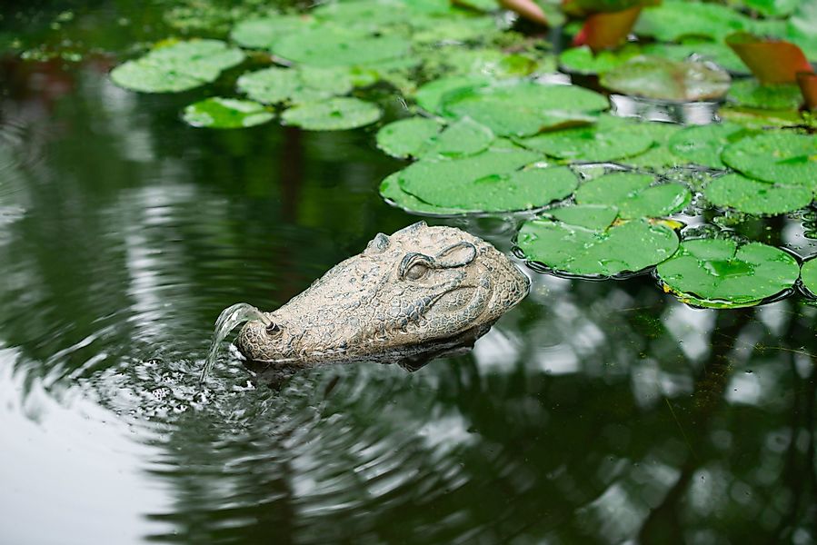 Ubbink Wasserspeier Krokodil, Schwimmt auf dem günstig online kaufen