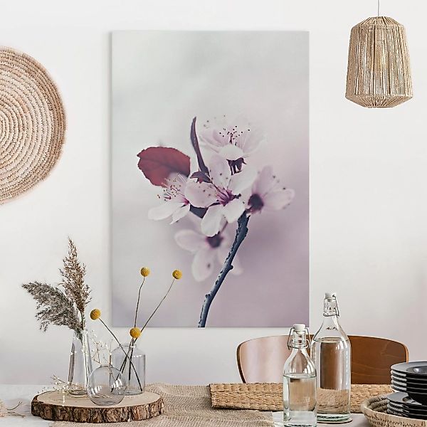Leinwandbild Kirschblütenzweig Altrosa günstig online kaufen