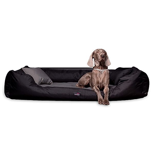 tierlando® Tierbett Orthopädisches Hundebett NESTOR, Starkes günstig online kaufen