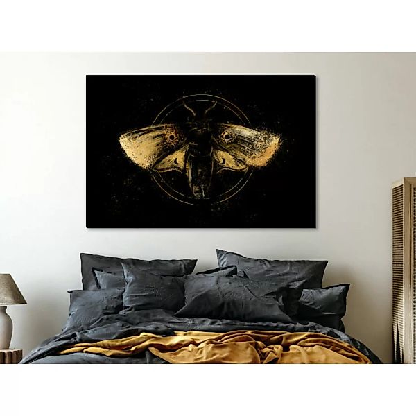 Bild auf Leinwand Night Moth (1 Part) Wide - First Variant XXL günstig online kaufen