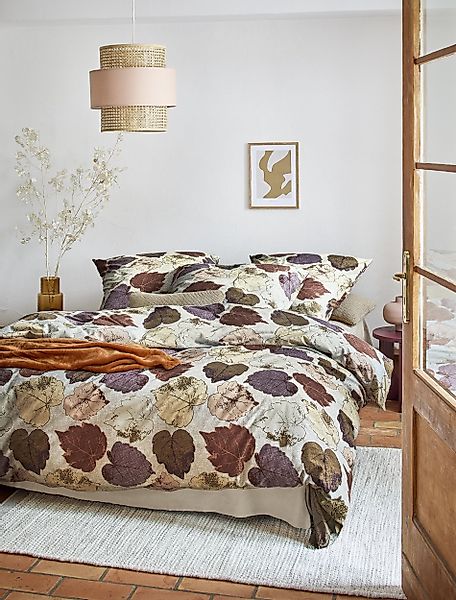 Irisette Bettwäsche Koala 8533, Feinbiber, 2 günstig online kaufen