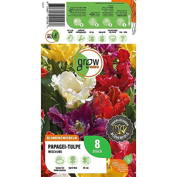 GROW by OBI Papagei-Tulpen Papegei Mischung 8 Stück Tulipa parrot Mixed günstig online kaufen