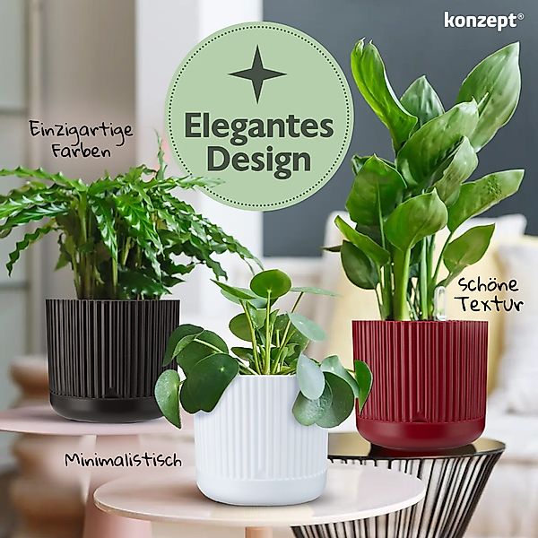 KONZEPT Blumentopf mit Untersetzer, 16 cm günstig online kaufen