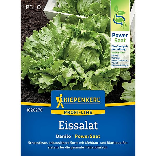 Kiepenkerl Eissalat Danilo (Lactuca sativa) günstig online kaufen