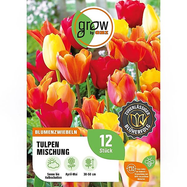GROW by OBI Tulpen Mischung Nr. 2 / 12 Stück Tulipa mix günstig online kaufen