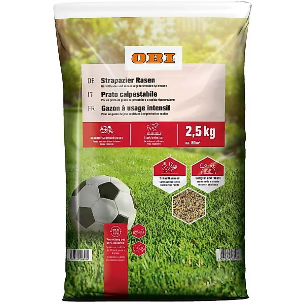 OBI Strapazier-Rasen 2,5 kg günstig online kaufen