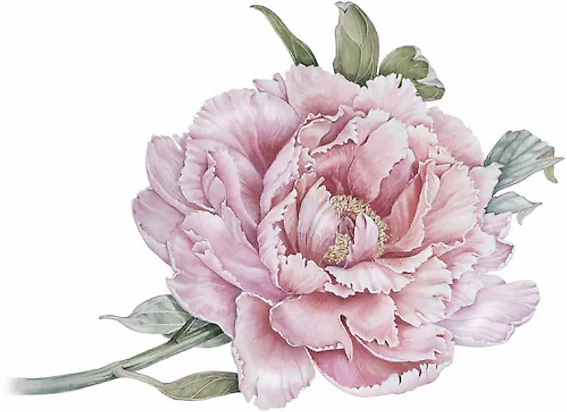 queence Wandtattoo »Klara« Wandbild, Sticker, rosa, Blume, Blüte, selbstkle günstig online kaufen