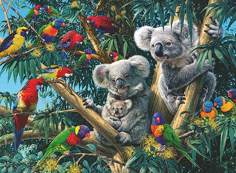 Ravensburger Verlag GmbH Puzzle Koalas im Baum, Puzzleteile günstig online kaufen