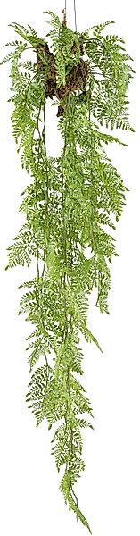 Kunstpflanze Farn Hänger, Creativ green, Höhe günstig online kaufen