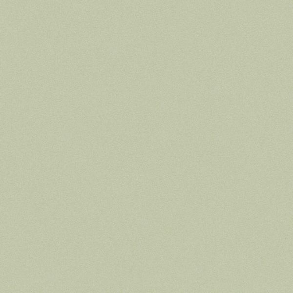 Joules Vliestapete Uni 10 m x 52 cm Hell Grün FSC® günstig online kaufen