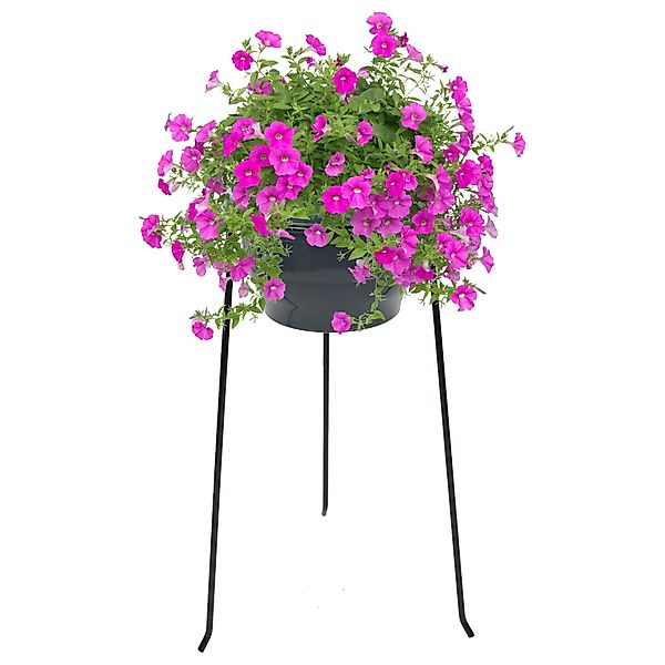 Rivanto Blumenständer, Hoch für Töpfe bis günstig online kaufen