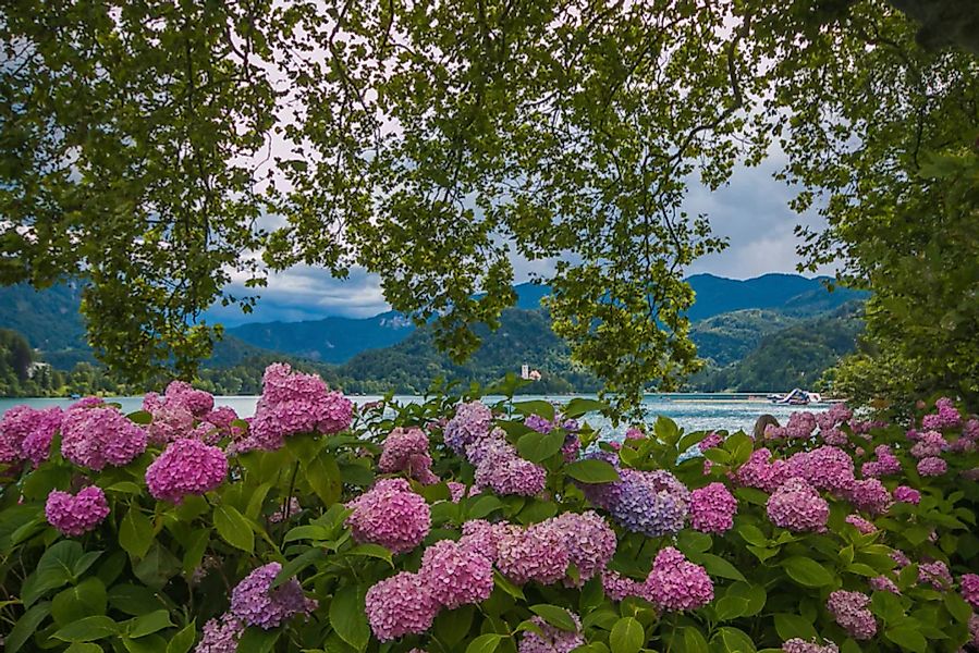Papermoon Fototapete »Blumen am Fluss« günstig online kaufen