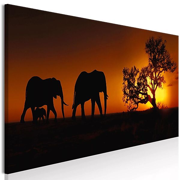 Wandbild - Elephant Family (Orange) günstig online kaufen