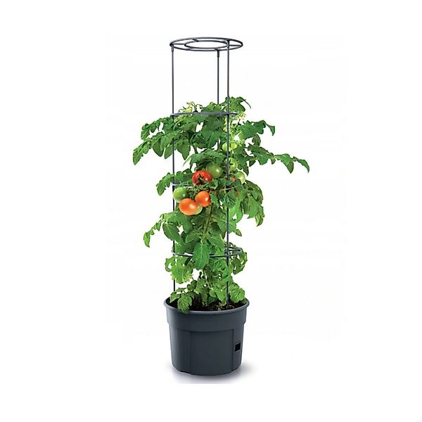 Prosperplast Pflanzkübel IPOM400-S433, Topf für Tomatenpflanze günstig online kaufen