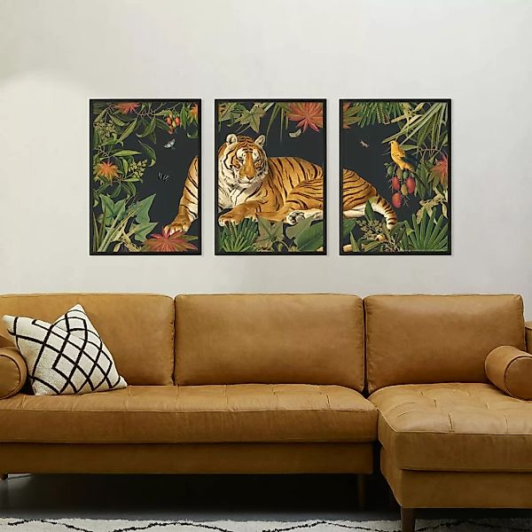 3 x Natural History Museum 'Vintage Tiger' gerahmte Kunstdrucke (A2) - MADE günstig online kaufen