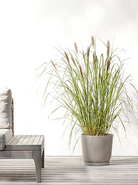 ECOPOTS Blumentopf "Oslo 25 + Wassersystem Taupe", für innen und außen: fro günstig online kaufen