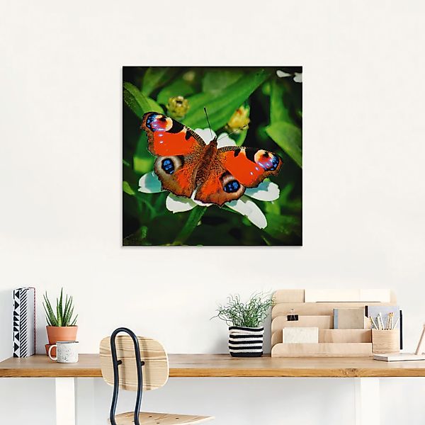 Artland Glasbild »Tagpfauenauge«, Insekten, (1 St.), in verschiedenen Größe günstig online kaufen
