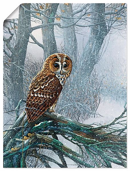 Artland Wandbild "Eule in verschneitem Wald", Vögel, (1 St.), als Leinwandb günstig online kaufen