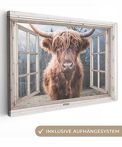 OneMillionCanvasses® Leinwandbild Schottischer Highlander - Kuh - Berg - Au günstig online kaufen