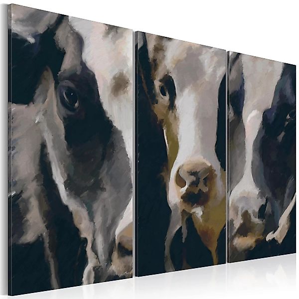 Wandbild - Piebald cow günstig online kaufen