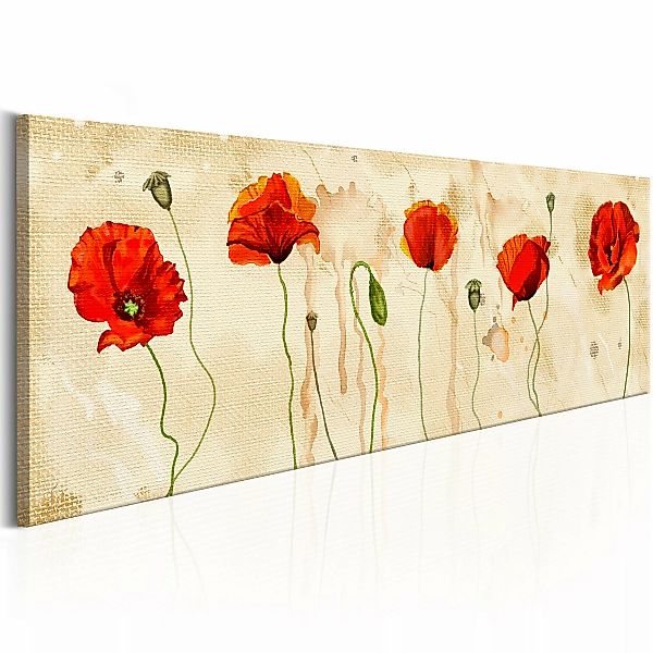 Wandbild - Tears Of Poppies günstig online kaufen