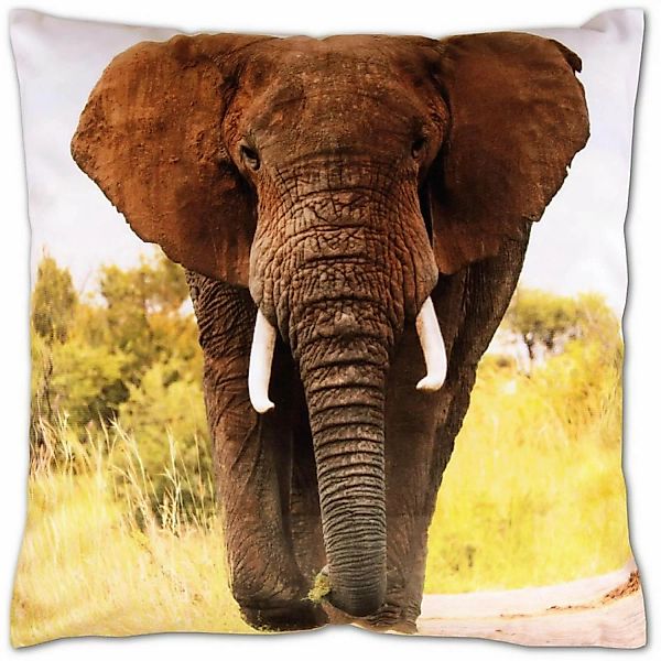 Bestlivings Kissenhülle Fotodruck 2er Pack Elefant 40 x 40 cm günstig online kaufen