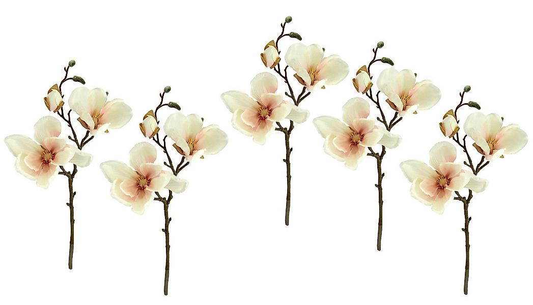 Kunstzweig Magnolienzweig künstlich, I.GE.A., Höhe 38 cm, 5er Set Kunstblum günstig online kaufen