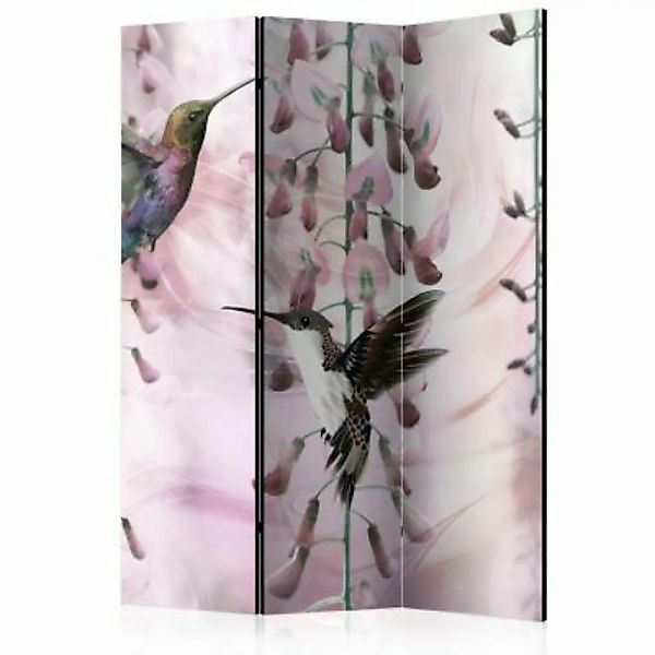 artgeist Paravent Flying Hummingbirds (Pink) [Room Dividers] mehrfarbig Gr. günstig online kaufen