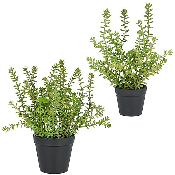 Creativ green Kunstpflanze "Sedum acre Yellow Queen", mit filigranen Sedumz günstig online kaufen