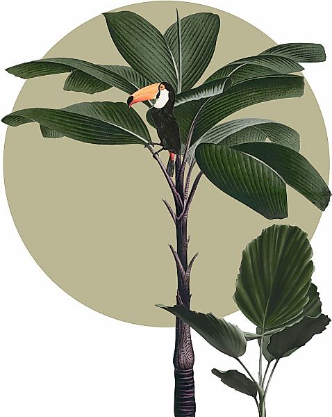 Komar Bild "Botanical Garden Palmtree" Natur 1 Stk. tlg. Wandbild zur Dekor günstig online kaufen