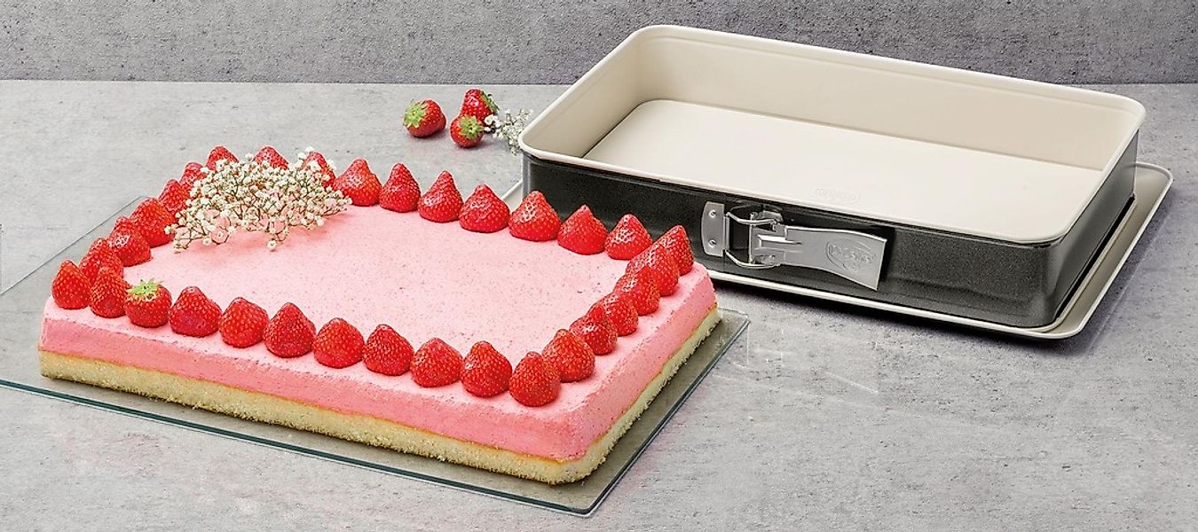 Dr. Oetker Springform  Back-Trend ¦ grau ¦ Stahlblech ¦ Maße (cm): B: 25 H: günstig online kaufen