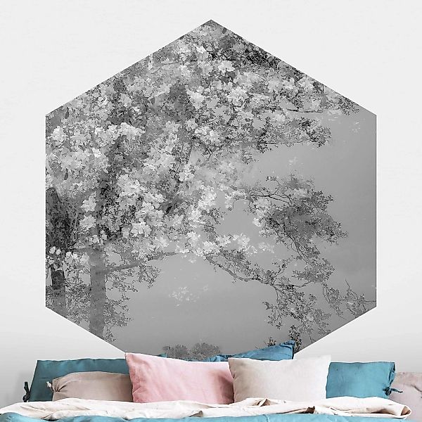Hexagon Mustertapete selbstklebend Verträumte Bäume in Schwarz-weiß günstig online kaufen