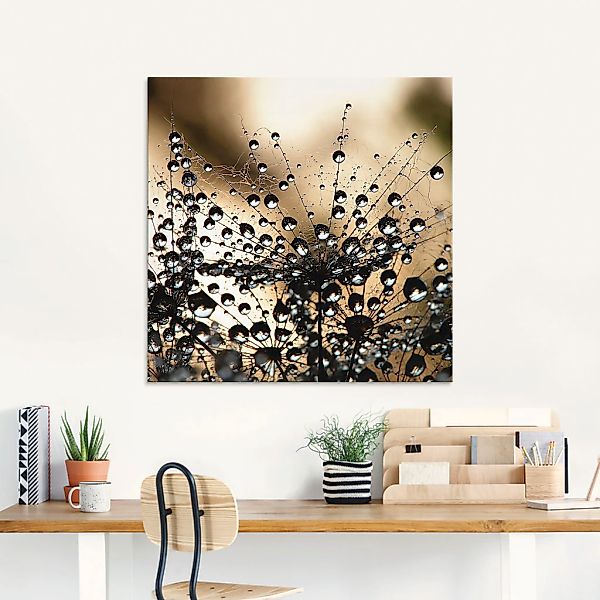 Artland Glasbild "Nasser Löwenzahn" Blumen 1 Stk. tlg. in verschiedenen Grö günstig online kaufen