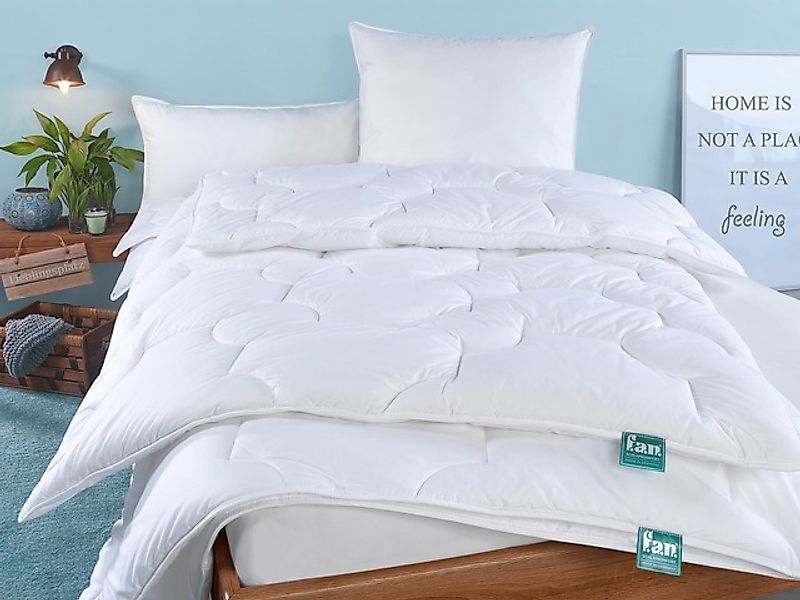 fan Kunstfaserkopfkissen Texas, Füllung: 100% Polyester, günstig online kaufen