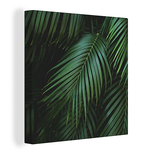 OneMillionCanvasses® Leinwandbild Palmenblätter - Palmen - günstig online kaufen