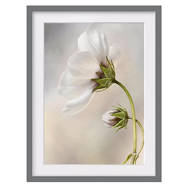 home24 Bild Himmlischer Blütentraum III günstig online kaufen