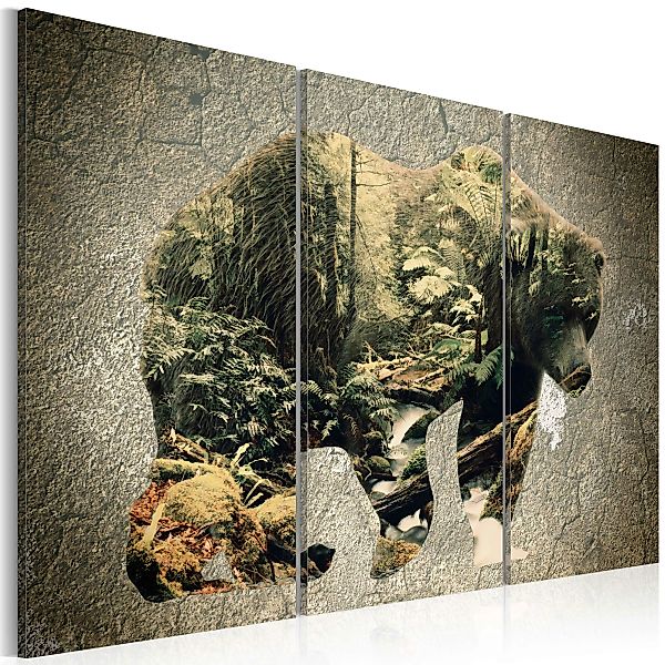 Wandbild - The Bear In The Forest günstig online kaufen