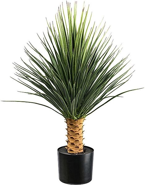 Kunstpflanze Yucca Rostrata auf Stamm Yucca, Creativ green, Höhe 85 cm, auf günstig online kaufen
