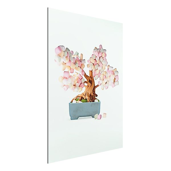 Alu-Dibond Bild - Hochformat 3:4 Bonsai mit Marshmallows günstig online kaufen