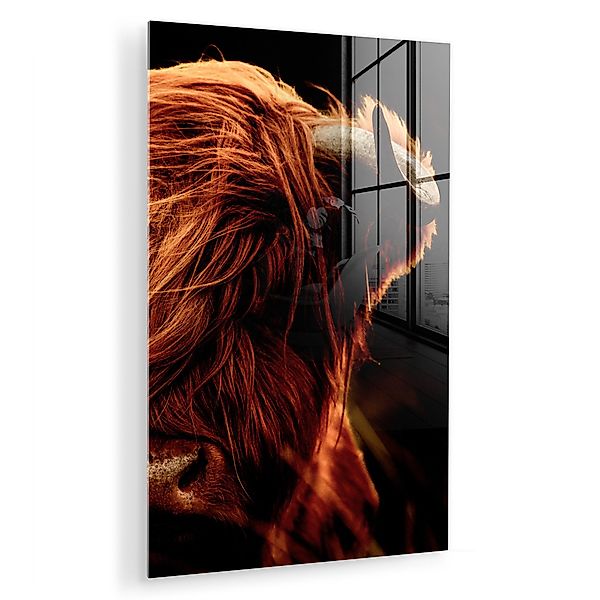 MuchoWow Acrylglasbild Schottischer Highlander - Kuh günstig online kaufen
