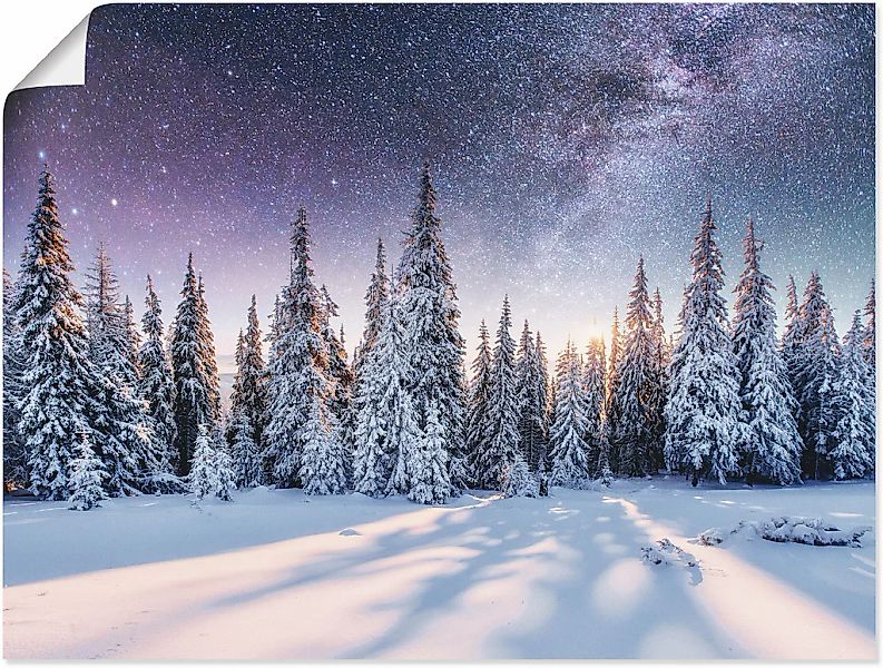 Artland Wandbild "Tannenwald im Schnee vorm Sternenhimmel", Berge & Alpenbi günstig online kaufen