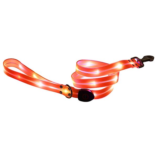 Refttenw Hundeleine LED Leuchthalsband Hund Aufladbar günstig online kaufen