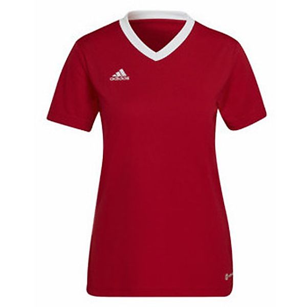 adidas  T-Shirt für Damen günstig online kaufen