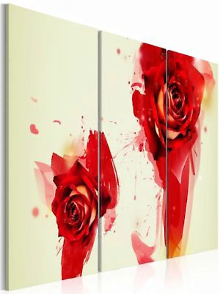 artgeist Wandbild Neue Sichtweise einer Rose mehrfarbig Gr. 60 x 40 günstig online kaufen