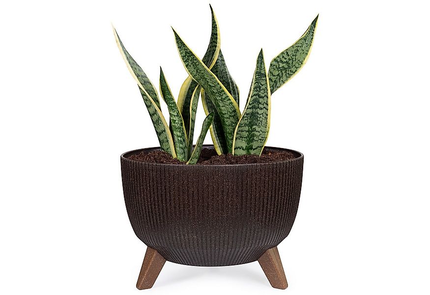 KONZEPT Blumentopf Pflanzenschale mit Füßen 33 cm, Pflanzkübel Groß Außen, günstig online kaufen